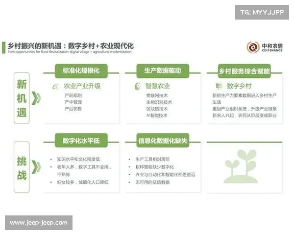网球比赛规则的演变与创新分析：从传统到现代化的变化路径
